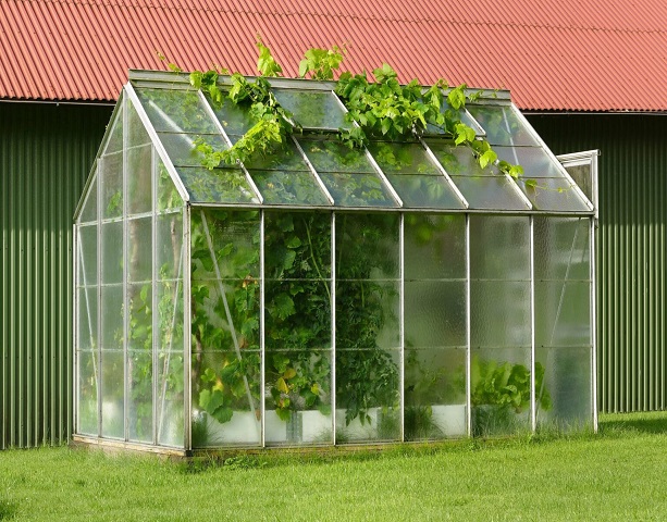 داستان موفقیت در احداث گلخانه